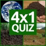 4X1 PICTURE QUIZ
